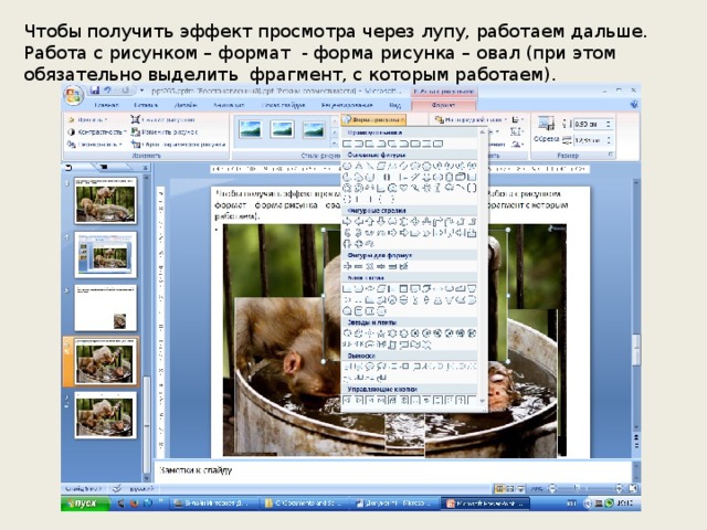 Чтобы получить эффект просмотра через лупу, работаем дальше. Работа с рисунком – формат - форма рисунка – овал (при этом обязательно выделить фрагмент, с которым работаем).