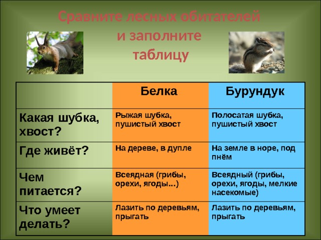 Животные леса 2 класс школа 21 века презентация