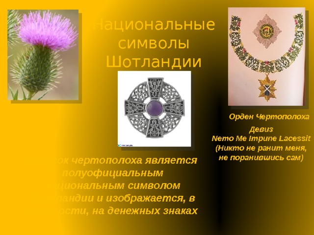 Национальные символы Шотландии Орден Чертополоха Девиз Nemo Me Impune Lacessit (Никто не ранит меня, не поранившись сам) Цветок чертополоха является полуофициальным национальным символом Шотландии и изображается, в частности, на денежных знаках 