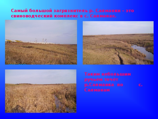 Самый большой загрязнитель р. Салманки – это свиноводческий комплекс в с. Салманах. Таким небольшим ручьём течёт р.Салманка по с. Салманам