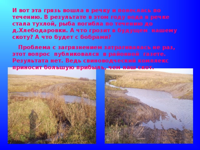 И вот эта грязь вошла в речку и понеслась по течению. В результате в этом году вода в речке стала тухлой, рыба погибла по течению до д.Хлебодаровки. А что грозит в будущем нашему скоту? А что будет с бобрами?  Проблема с загрязнением затрагивалась не раз, этот вопрос публиковался в районной газете. Результата нет. Ведь свиноводческий комплекс приносит большую прибыль, чем наш скот.