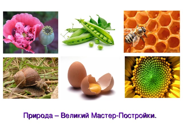 2 класс изо постройка и реальность презентация