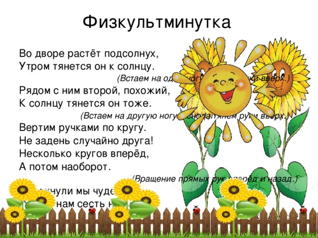 Мы с ним росли в одном дворе. Физминутка во дворе растет подсолнух. Физкультминутка подсолнух. Физминутка про подсолнух для детей. Физминутка подсолнечник.