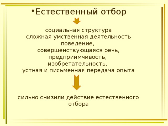 Естественный отбор   социальная структура  сложная умственная деятельность  поведение,  совершенствующаяся речь,  предприимчивость,  изобретательность,  устная и письменная передача опыта     сильно снизили действие естественного отбора     