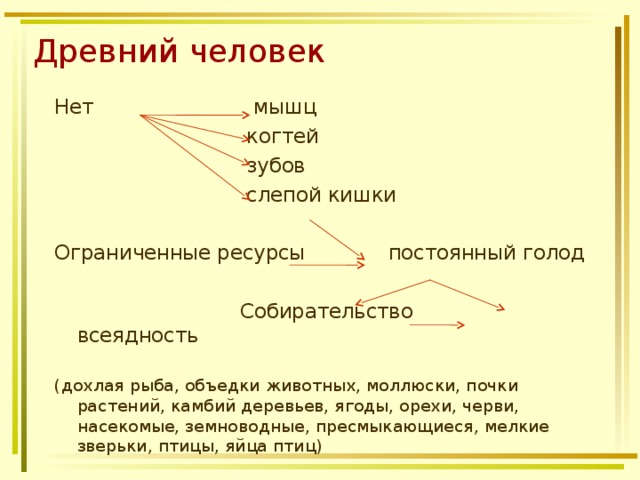 Древний человек Нет мышц  когтей  зубов  слепой кишки Ограниченные ресурсы постоянный голод  Собирательство всеядность (дохлая рыба, объедки животных, моллюски, почки растений, камбий деревьев, ягоды, орехи, черви, насекомые, земноводные, пресмыкающиеся, мелкие зверьки, птицы, яйца птиц) 