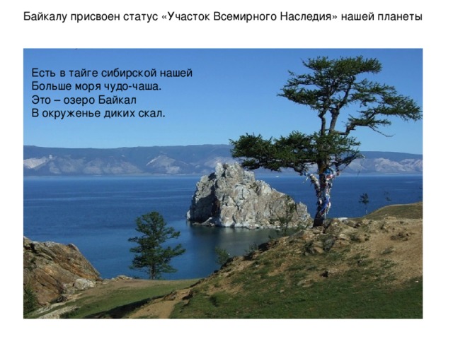 Байкалу присвоен статус «Участок Всемирного Наследия» нашей планеты Есть в тайге сибирской нашей Больше моря чудо-чаша. Это – озеро Байкал В окруженье диких скал. 