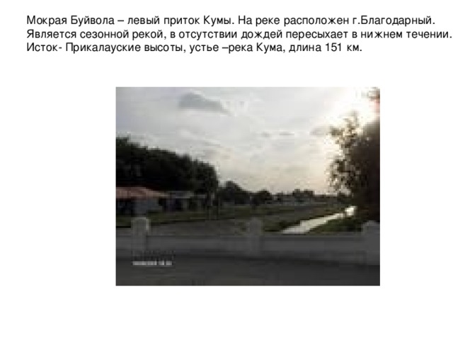 Мокрая Буйвола – левый приток Кумы. На реке расположен г.Благодарный. Является сезонной рекой, в отсутствии дождей пересыхает в нижнем течении. Исток- Прикалауские высоты, устье –река Кума, длина 151 км. 