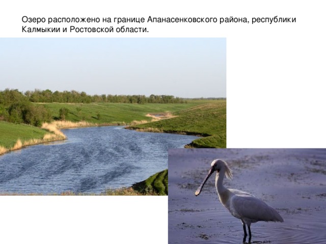 Озеро расположено на границе Апанасенковского района, республики Калмыкии и Ростовской области. 