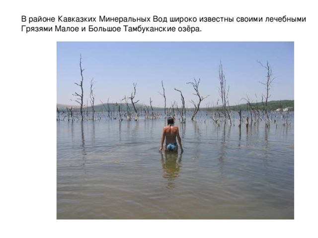 В районе Кавказких Минеральных Вод широко известны своими лечебными Грязями Малое и Большое Тамбуканские озёра. 