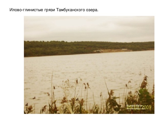 Илово-глинистые грязи Тамбуканского озера. 