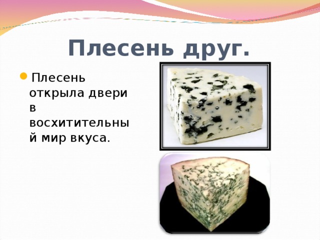 Плесень друг. Плесень открыла двери в восхитительный мир вкуса. 