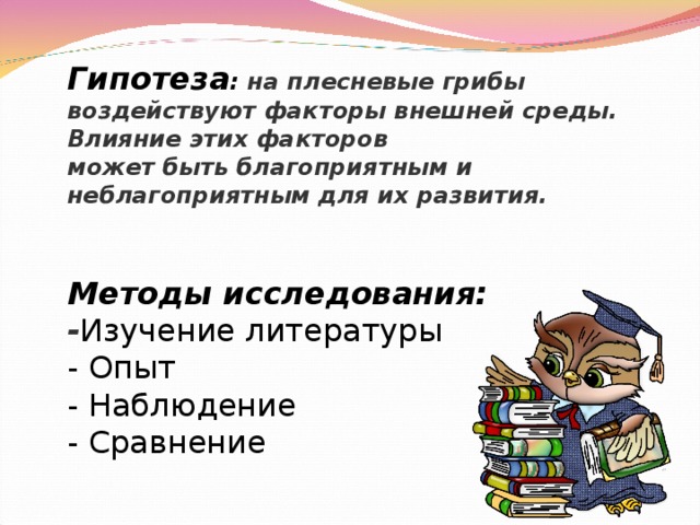 Гипотеза : на плесневые грибы воздействуют факторы внешней среды. Влияние этих факторов может быть благоприятным и неблагоприятным для их развития.   Методы  исследования: - Изучение литературы - Опыт - Наблюдение - Сравнение 