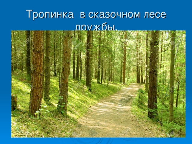 Тропинка в сказочном лесе дружбы. 