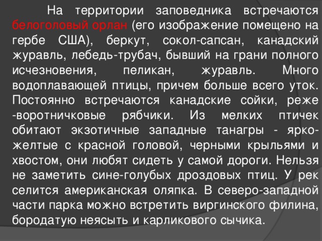  На территории заповедника встречаются белоголовый орлан (его изображение помещено на гербе США), беркут, сокол-сапсан, канадский журавль, лебедь-трубач, бывший на грани полного исчезновения, пеликан, журавль. Много водоплавающей птицы, причем больше всего уток. Постоянно встречаются канадские сойки, реже -воротничковые рябчики. Из мелких птичек обитают экзотичные западные танагры - ярко-желтые с красной головой, черными крыльями и хвостом, они любят сидеть у самой дороги. Нельзя не заметить сине-голубых дроздовых птиц. У рек селится американская оляпка. В северо-западной части парка можно встретить виргинского филина, бородатую неясыть и карликового сычика. 
