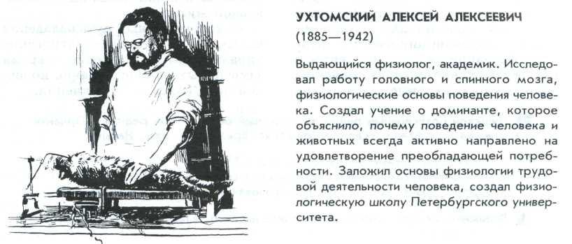 Внешнее торможение звонок с урока сигнал автомобиля. Смотреть фото Внешнее торможение звонок с урока сигнал автомобиля. Смотреть картинку Внешнее торможение звонок с урока сигнал автомобиля. Картинка про Внешнее торможение звонок с урока сигнал автомобиля. Фото Внешнее торможение звонок с урока сигнал автомобиля