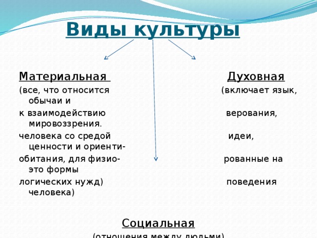 Видами культуры являются