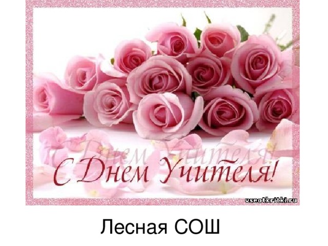 Лесная СОШ 