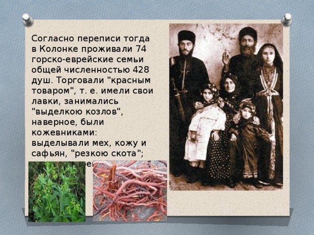 Согласно переписи тогда в Колонке проживали 74 горско-еврейские семьи общей численностью 428 душ. Торговали 