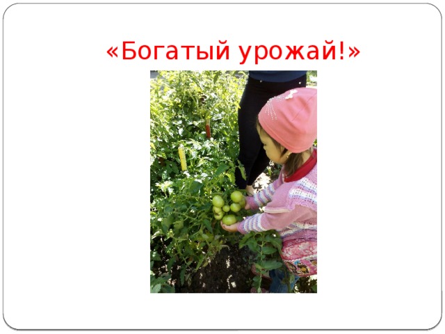 «Богатый урожай!» 