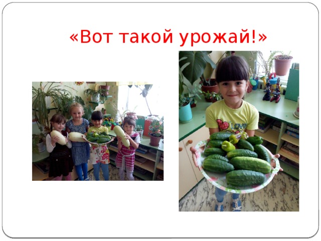 «Вот такой урожай!» 