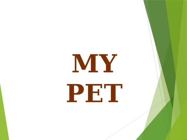 My pet 