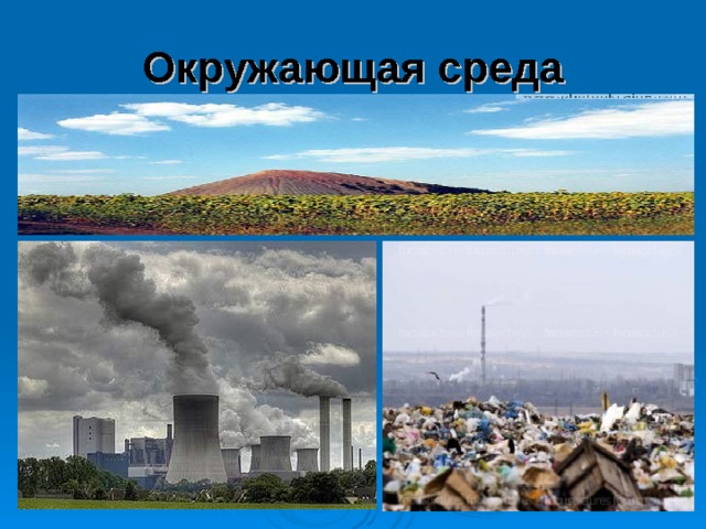 Окружающая среда 