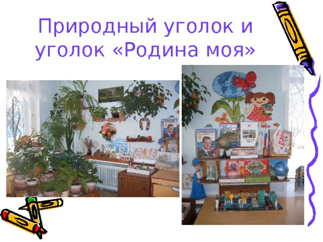 Природный уголок и уголок «Родина моя» 