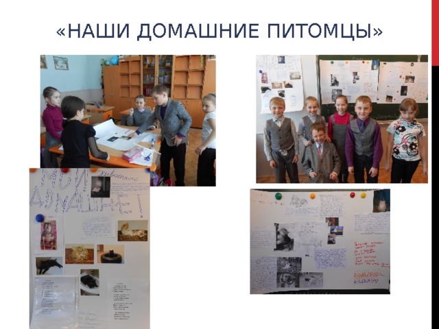 «НАШИ ДОМАШНИЕ ПИТОМЦЫ» 