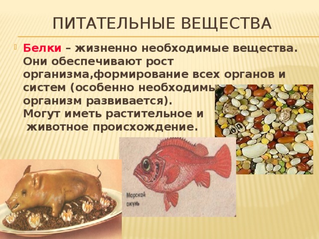 Питательные вещества Белки – жизненно необходимые вещества. Они обеспечивают рост организма,формирование всех органов и систем (особенно необходимы, когда организм развивается).  Могут иметь растительное и  животное происхождение. 