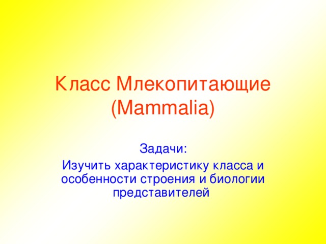 Класс Млекопитающие (Mammalia) Задачи: Изучить характеристику класса и особенности строения и биологии представителей