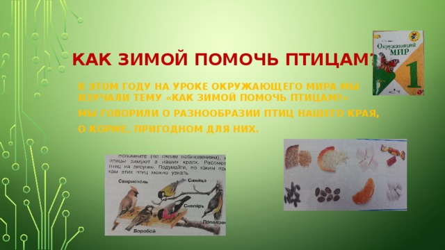 КАК ЗИМОЙ ПОМОЧЬ ПТИЦАМ? В ЭТОМ ГОДУ НА УРОКЕ ОКРУЖАЮЩЕГО МИРА МЫ ИЗУЧАЛИ ТЕМУ «КАК ЗИМОЙ ПОМОЧЬ ПТИЦАМ?» МЫ ГОВОРИЛИ О РАЗНООБРАЗИИ ПТИЦ НАШЕГО КРАЯ, О КОРМЕ, ПРИГОДНОМ ДЛЯ НИХ. 