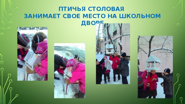 ПТИЧЬЯ СТОЛОВАЯ  ЗАНИМАЕТ СВОЕ МЕСТО НА ШКОЛЬНОМ ДВОРЕ 