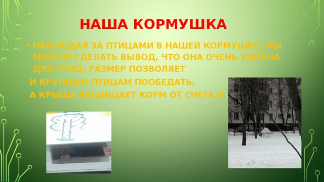 НАША КОРМУШКА НАБЛЮДАЯ ЗА ПТИЦАМИ В НАШЕЙ КОРМУШКЕ, МЫ МОЖЕМ СДЕЛАТЬ ВЫВОД, ЧТО ОНА ОЧЕНЬ УДОБНА ДЛЯ ПТИЦ: РАЗМЕР ПОЗВОЛЯЕТ  И КРУПНЫМ ПТИЦАМ ПООБЕДАТЬ,  А КРЫША ЗАЩИЩАЕТ КОРМ ОТ СНЕГА И ДОЖДЯ. 