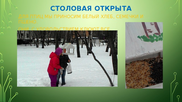 СТОЛОВАЯ ОТКРЫТА ДЛЯ ПТИЦ МЫ ПРИНОСИМ БЕЛЫЙ ХЛЕБ, СЕМЕЧКИ И ПШЕНО. ОНИ С УДОВОЛЬСТВИЕМ КЛЮЮТ ВСЕ. 