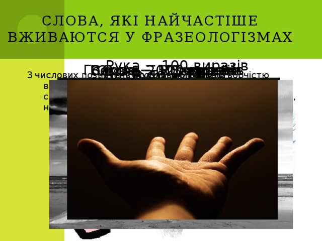 Слова, які найчастіше  вживаются у фразеологізмах Рука − 100 виразів Голова − 120 виразів Вогонь − 13 виразів Воля − 20 виразів Серце − 50 виразів Око − 200 виразів Вухо − 50 виразів Ніс − 40 виразів 3  числових позначень особливою фразеотворчістю відзначаються числівники «сім» і «сто»: сім чудес світу, на сьомому небі, за сімома замками, на всі сто, не май сто рублів, а май сто друзів Нога − 70 виразів  