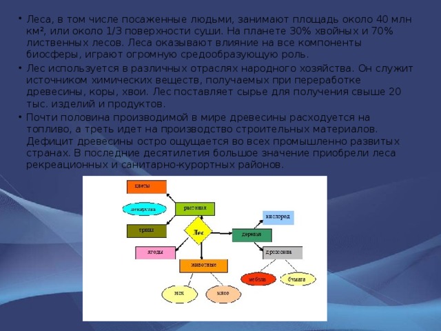 Леса, в том числе посаженные людьми, занимают площадь около 40 млн км², или около 1/3 поверхности суши. На планете 30% хвойных и 70% лиственных лесов. Леса оказывают влияние на все компоненты биосферы, играют огромную средообразующую роль. Лес используется в различных отраслях народного хозяйства. Он служит источником химических веществ, получаемых при переработке древесины, коры, хвои. Лес поставляет сырье для получения свыше 20 тыс. изделий и продуктов. Почти половина производимой в мире древесины расходуется на топливо, а треть идет на производство строительных материалов. Дефицит древесины остро ощущается во всех промышленно развитых странах. В последние десятилетия большое значение приобрели леса рекреационных и санитарно-курортных районов. 