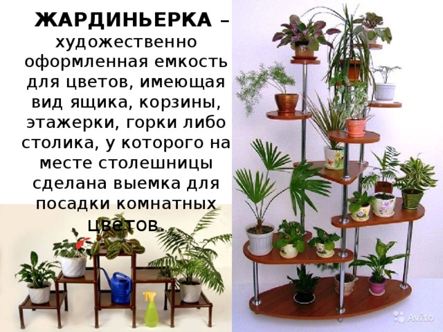  ЖАРДИНЬЕРКА – художественно оформленная емкость для цветов, имеющая вид ящика, корзины, этажерки, горки либо столика, у которого на месте столешницы сделана выемка для посадки комнатных цветов. 