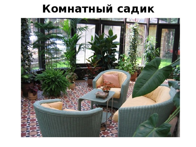 Комнатный садик 