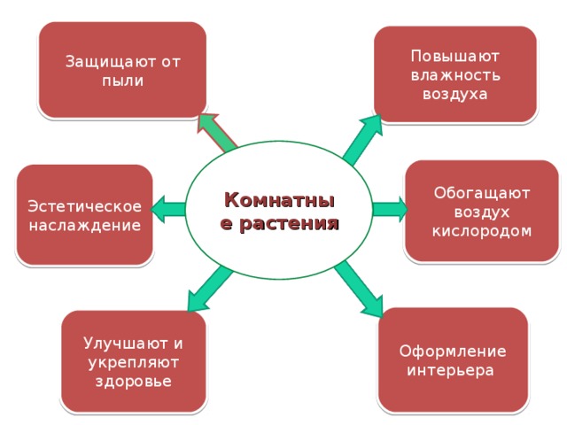Защищают от пыли Повышают влажность воздуха Комнатные растения Обогащают воздух кислородом Эстетическое наслаждение Оформление интерьера Улучшают и укрепляют здоровье 