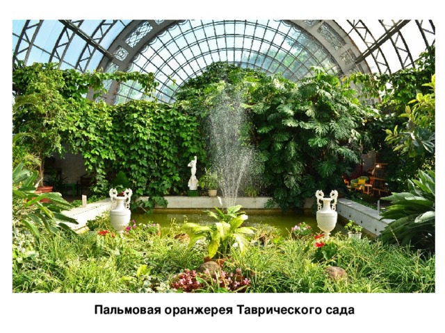   Пальмовая оранжерея Таврического сада  