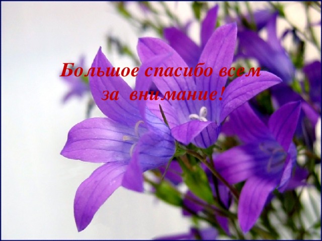 Большое спасибо всем за внимание! 