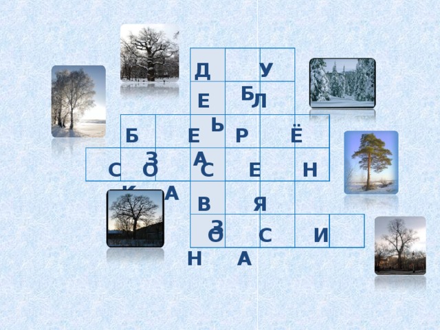                                                                                                             Д У Б Д У Б Е Л Ь Е Л Ь Б Е Р Ё З А  С О С Е Н К А В Я З  О С И Н А