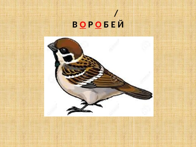  /  В О Р О Б Е Й 