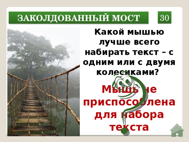 30 Заколдованный мост Какой мышью лучше всего набирать текст – с одним или с двумя колесиками? Мышь не приспособлена для набора текста  