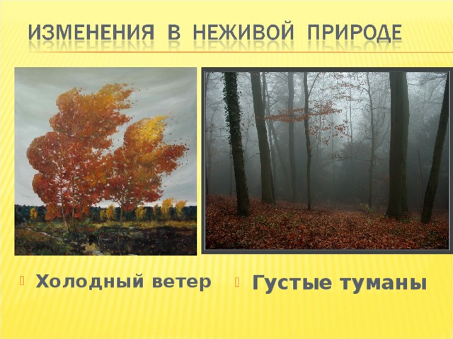 Холодный ветер Густые туманы 