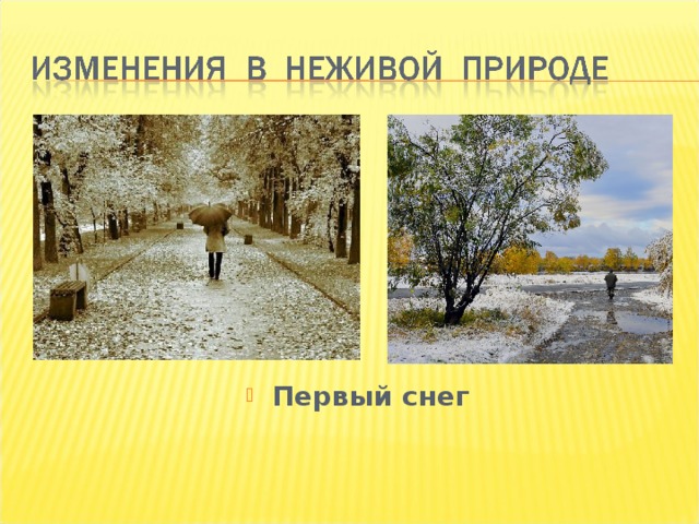 Первый снег 