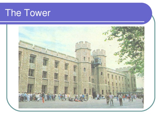 The Tower 