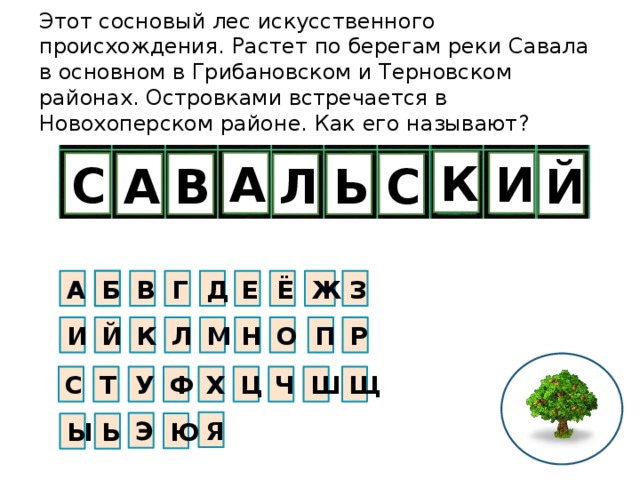 Этот сосновый лес искусственного происхождения. Растет по берегам реки Савала в основном в Грибановском и Терновском районах. Островками встречается в Новохоперском районе. Как его называют? К И А С Ь В А С Л Й Ж Е Д Г В Б Ё З А М Й К Л И Н Р О П У Ш Ч Ц Х С Щ T Ф Я Э Ю Ь Ы 