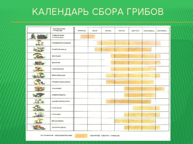 Карта роста грибов