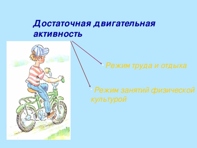 Достаточная двигательная активность  Режим  труда и отдыха  Режим занятий физической  культурой 